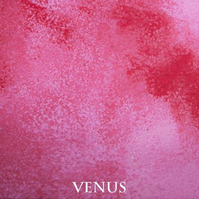 Mensajes interactivos para Venus Retro