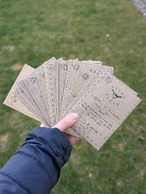 I started sowing seeds!