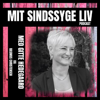 Afsnit 8. - Systemets svigt