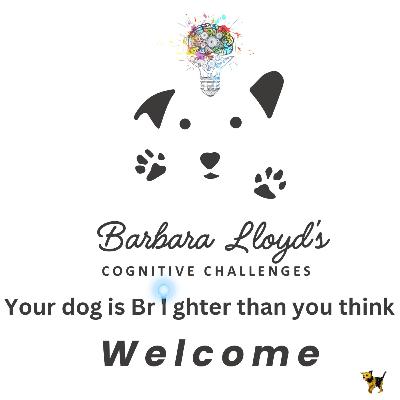 How Barbara Lloyd’s Cognitive Challenges Framework can Increase Motivation in Dogs