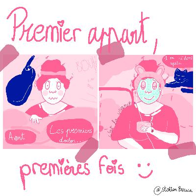 Premier appart : premières fois chez soi (partie 2)