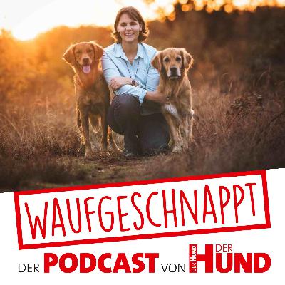 Kommunikation für Hundetrainer - Annika Nowatzek