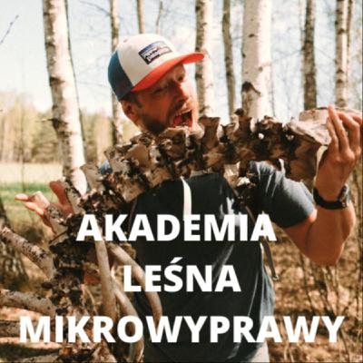 Dlaczego żubr nie ma prawa istnieć?