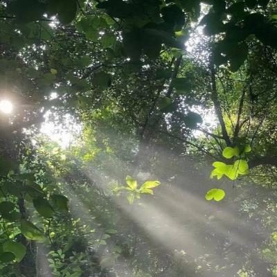 tình yêu của mọc bảo bình với nhóm khí