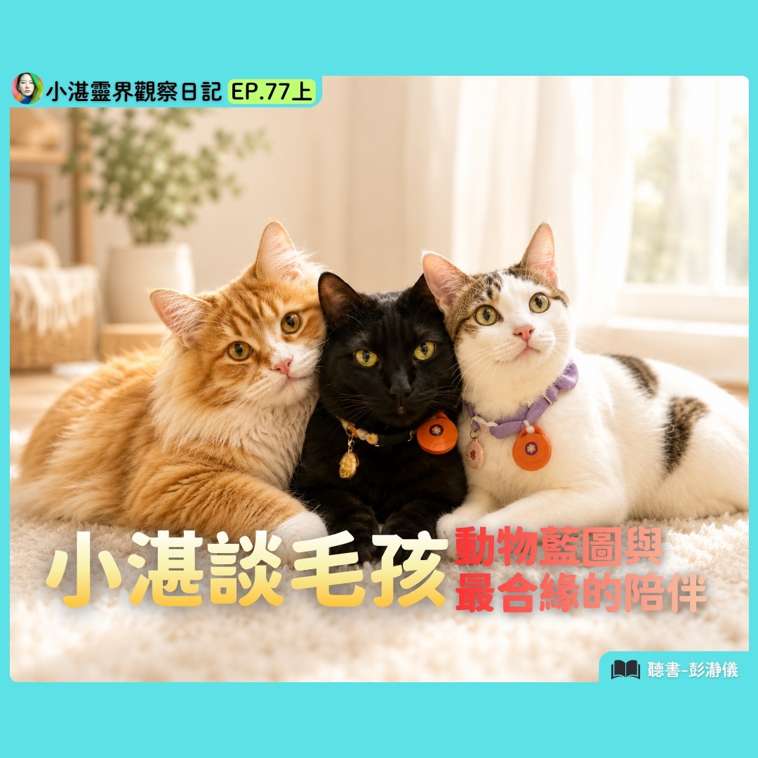 小湛談毛孩 動物藍圖與最合緣的陪伴　靈界觀察者小湛 X 主持人彭瀞儀｜小湛靈界觀察日記 EP77上 episode artwork