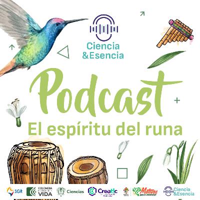 El espíritu del runa