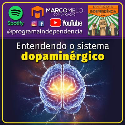 Entendendo o sistema dopaminérgico Entendendo o sistema dopaminérgico
