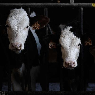 Why methane matters