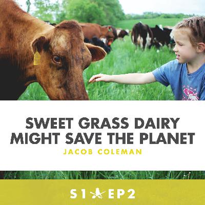 Sweet Grass Dairy Might Save The Planet