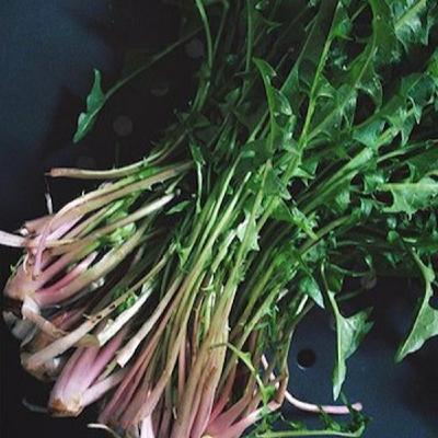 Medicines and foods are all around us Medicines and foods are all around us