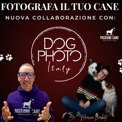 Ep.48 FOTOGRAFA IL TUO CANE: NUOVA COLLABORAZIONE CON DOG PHOTO ITALY Ep.48 FOTOGRAFA IL TUO CANE: NUOVA COLLABORAZIONE CON DOG PHOTO ITALY