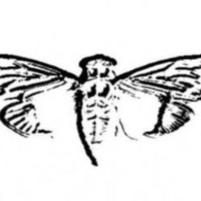 The Weirdest Internet Mystery: Cicada 3301