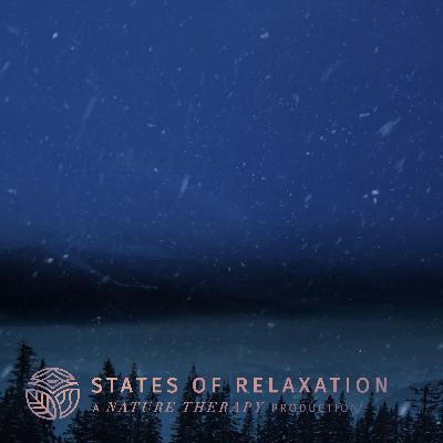 S3 E2: Blizzard Snowstorm Sounds for Relaxing & Sleeping | Strong Wind & Falling Snow Sounds (White Noise)