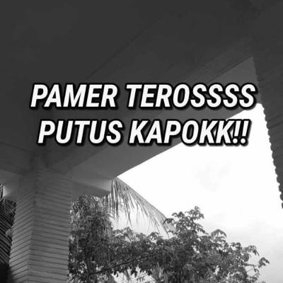 Pamer Pamer