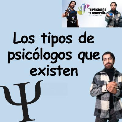 Los tipos de psicólogo que existen (y qué hace cada uno) Los tipos de psicólogo que existen (y qué hace cada uno)