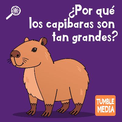 Podcast invitado: Tumble en Español Podcast invitado: Tumble en Español