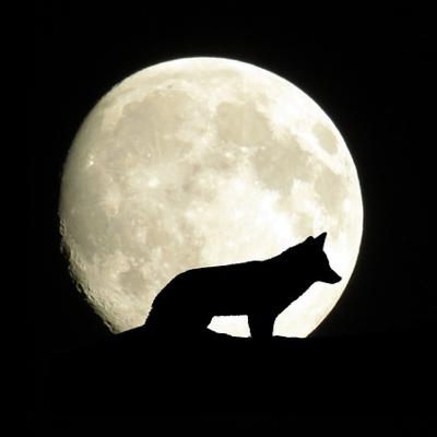 Lua cheia em Áries Lua cheia em Áries