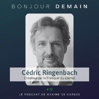 #12|Cédric Ringenbach, Créateur de la Fresque du Climat #12|Cédric Ringenbach, Créateur de la Fresque du Climat