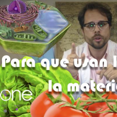 ¿Para qué utilizan las células la materia orgánica de los alimentos? ¿Para qué utilizan las células la materia orgánica de los alimentos?