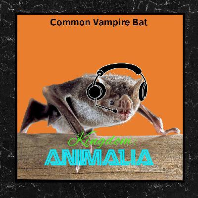 Common Vampire Bat (Halloween 2023)