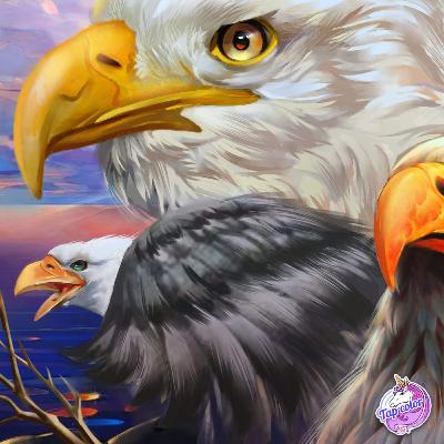 American rebel:political terreforming