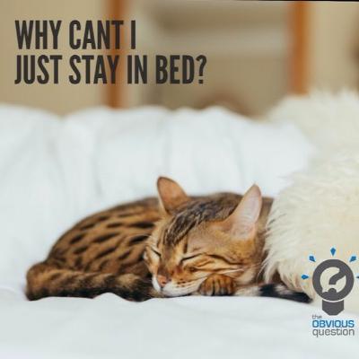 Why can't I just stay in bed? Why can't I just stay in bed?