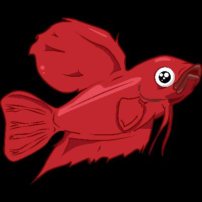 FIsh that live in deserts