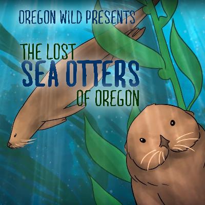 Oregon Wildcast: The Lost Sea Otters of Oregon