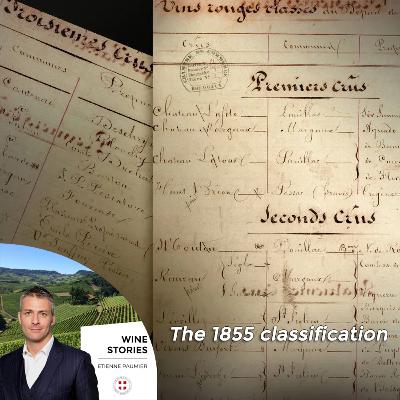 Wine Stories - S1E14 - The 1855 classification