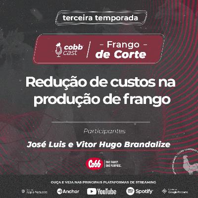 #07 Redução de custos na produção de frango