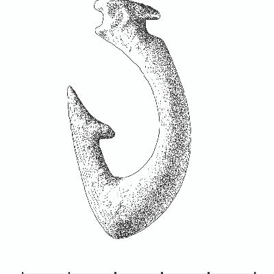 Arkeologi på rappen 3-5: Elling U. Wammer og Anja Mansrud om en fiskekrok fra steinalder Arkeologi på rappen 3-5: Elling U. Wammer og Anja Mansrud om en fiskekrok fra steinalder