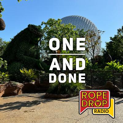 One and Done at Disney World — What We'd Skip Next Time