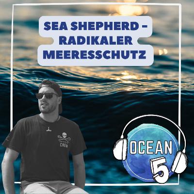 #MeerKlima 2: Sea Shepherd - Aktiver Meeresschutz mit Flo Stadler