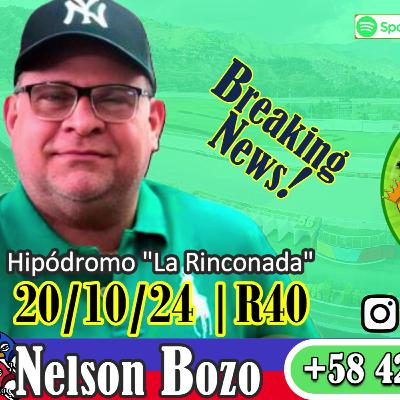 Nelson Bozo "El triple coronado del Zulia" | #LaRinconada 20/10/24 |R40 Fijos Marcas5y6 #adelantados 🏇🏅🏆