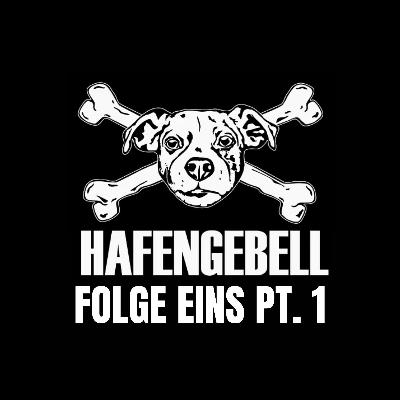 Flaks Reise Part 01