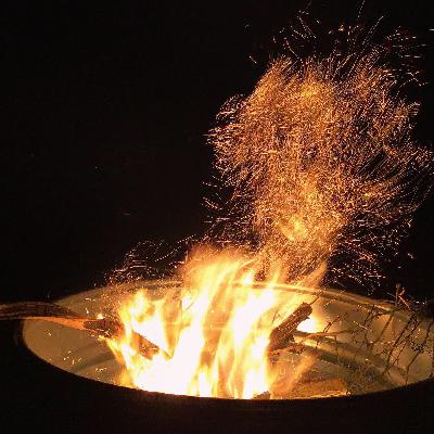 Big Bass; Bird Box and Chapel Hart