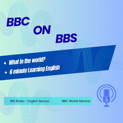 BBC on BBS