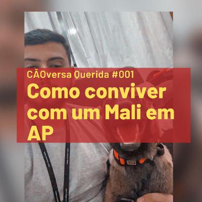 CÃOversa Querida #001 - Kevyn - Como conviver com um Mali em AP CÃOversa Querida #001 - Kevyn - Como conviver com um Mali em AP