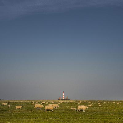 Bi uns heet dat MOIN! Bi uns heet dat MOIN!