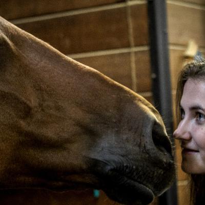 Episode 12: Une histoire de point de vue: celui d'une cavalière propriétaire de cheval, sa relation au numérique et au vétérinaire