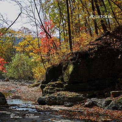 ГЛАВА ВТОРАЯ. "КРАВЦОВСКИЕ ВОДОПАДЫ"