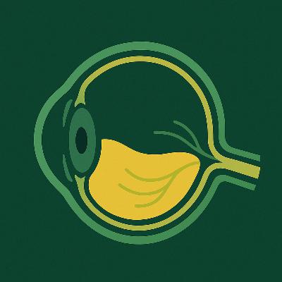 Unveiling the Eye's Hidden Gel: The Vital Role of the Vitreous Humor