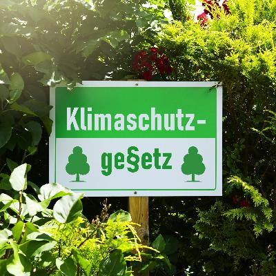 Wahlprogramm-Check zur Landtagswahl in Rheinland-Pfalz: Wer will was bei Klima und Umwelt?