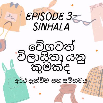 වේගවත් විලාසිතා යනු කුමක්ද - අර්ථ දැක්වීම (definition) සහ සම්භවය (origin)