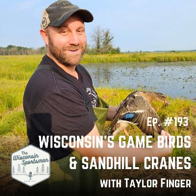 Wisconsin's Game Birds & Sandhill Cranes with Taylor Finger