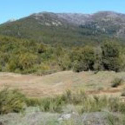 Ejército desarmó un invernadero en la comunidad Millalonco-Ranquehue Ejército desarmó un invernadero en la comunidad Millalonco-Ranquehue