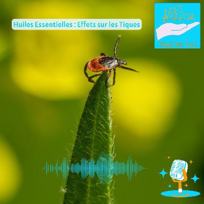 Huiles Essentielles : Effets sur les Tiques
