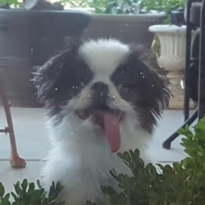 PooLoadOfMonkeys (ETH 58) PooLoadOfMonkeys (ETH 58)