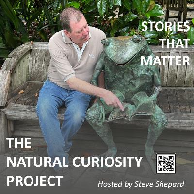 Episode 287-When in the Course of Human Events