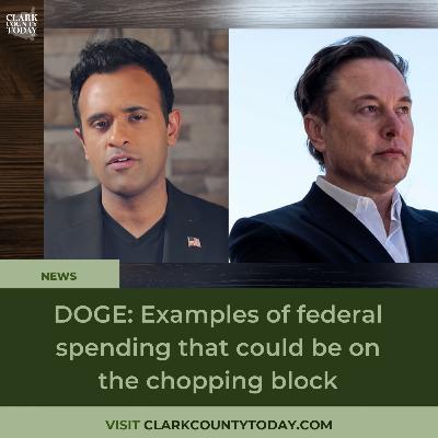 DOGE: Examples of federal spending that could be on the chopping block DOGE: Examples of federal spending that could be on the chopping block